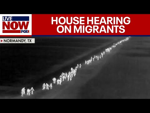 Full: 'Fight Against Criminal Illegal Aliens' House Hearing