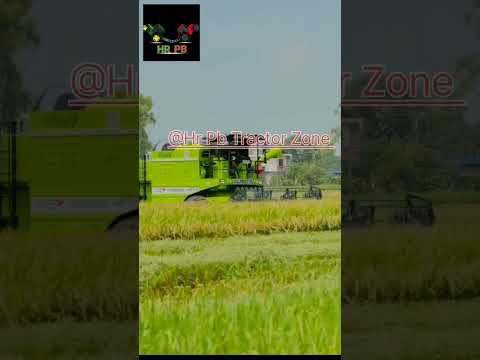 Desi 🔥 Jaat 💥 Ha pindaa da ❤️|| Combine Harvester 👑 #viral #shorts #new #trending #youtubeshorts