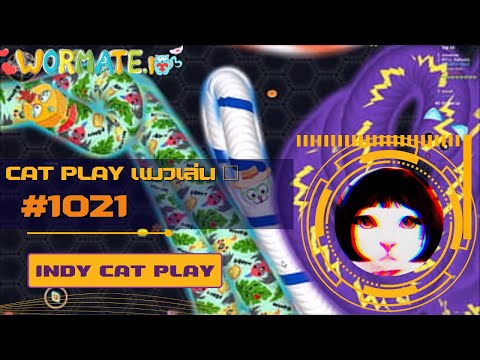 INDY CAT PLAY | wormate.io | Cat Play แมวเล่น 🐾 | #1021