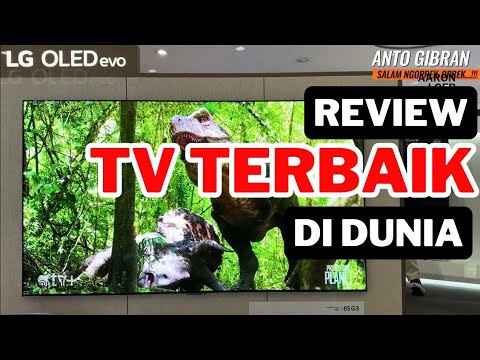 TV Terbaik Di Dunia ada di Indonesia - Review LG OLED TV 65G3PSA