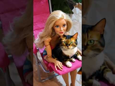 Guys, look at my cat #barbie #cat #cats #catvideos #catshorts #catlady #kittytv #catperson #kitty