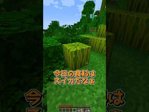 ブロックを置いたらランダムに変わっちゃう世界 #マイクラ #マインクラフト #minecraft