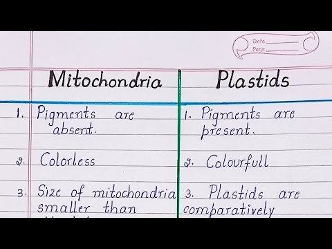 Difference between Mitochondria and Plastids