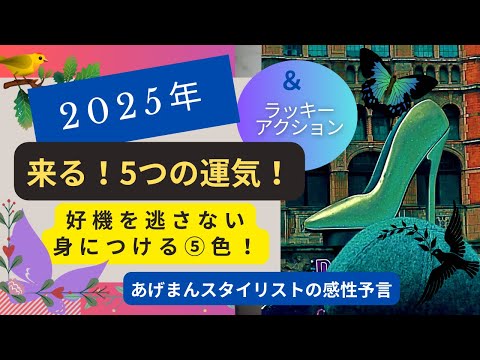 【2025年運気】来る！5つの運気✨身につけるべき色！聞き流し【理香子ラジオ】#金運アップ