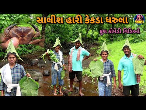 સાલીશ હારી કેકડા ધરુલા 😂 કૉમેડી વિડિઓ ll Saalish Hari Kekda Dharula 🤣 Full Dangi Comedy Video Funny