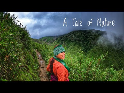 |A Tale of Nature| |Trailer| |Dzukou Valley, Nagaland|