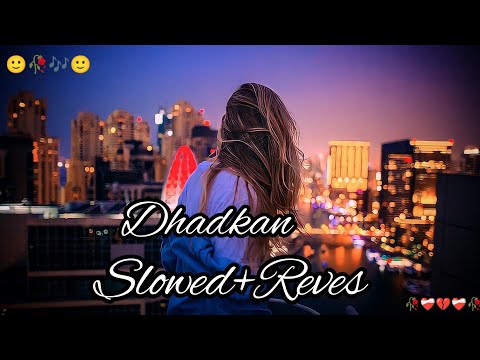 Dhadkan (Slowed+Reverb) Dhadkan | Msin Tenu Rab To Duaon Kar Ky Har Hal Ty Paa Lena