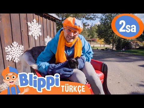 Blippi'nin Noel Macerası 🎄 Blippi Türkçe - Çocuklar için Eğitici Videolar