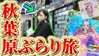 【ポケカ・ワンピカード】姉妹で秋葉原のオリパ巡りしてたら1枚40万円越えのカードが当たるオリパ見つけたのでやってみたら！？！？！？【開封動画】