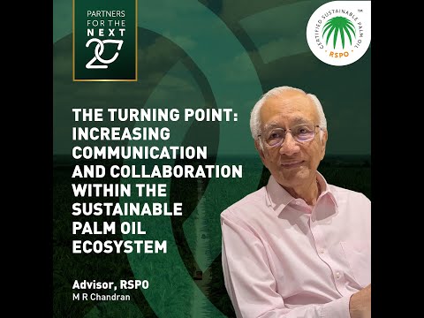 RSPO Insights | Increasing communication and collaboration within the sustainable palm oil ecosystem