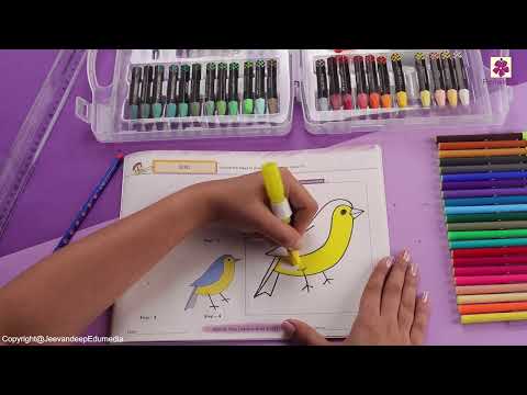 Bird | Step by Step Drawing Book 2 | Periwinkle