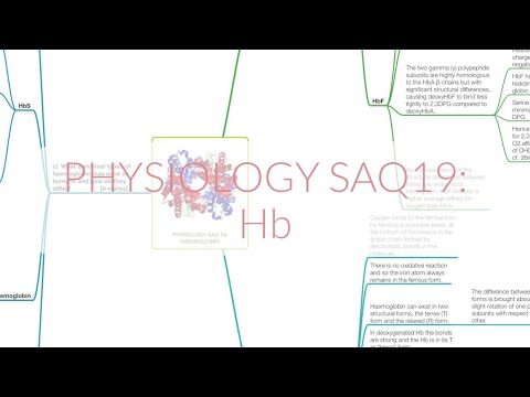 PHYSIOLOGY SAQ19: HAEMOGLOBIN