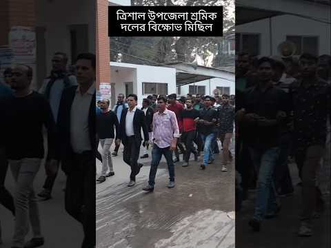 শ্রমিক দলের বি/ক্ষো/ভ মিছিল #trishalbarta #shortsfeed #politics