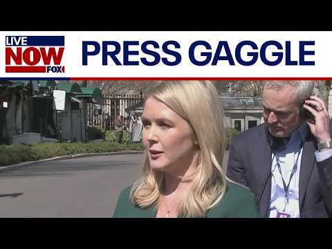 WATCH: WH Press Secretary Karoline Leavitt asked about economy, war in Ukraine | LiveNOW from FOX