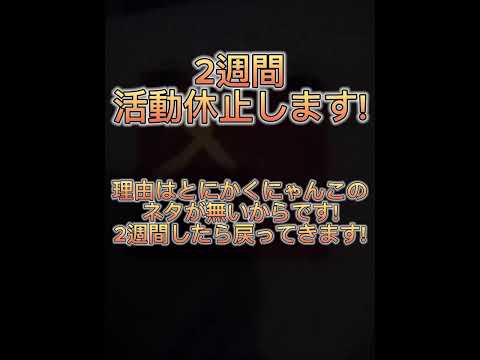 活動休止します!