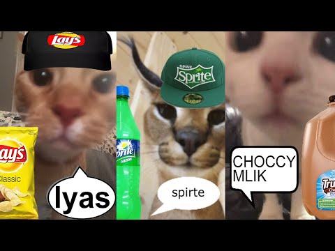 Cats advertising Snack/Drink Products