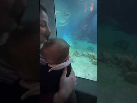 Nora visits the Aquarium for the first time!