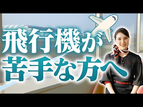 飛行機に乗るのが怖い・苦手な方へCAからお伝えしたいこと