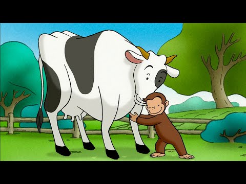 George Meets Some Hungry Cows 🐄 🐵 Curious George 🐵 Animal Friends