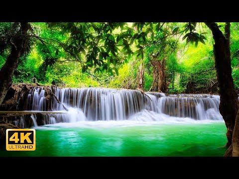 3Hour 4K Spectacular Forests Aerial Views with Relaxation music