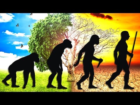 How Humans Evolved to Dominate Earth