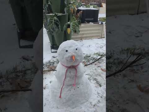 A Texas Snowman, From the garden! #texasgarden #carrots