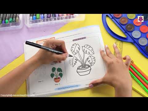 Plant | Step by Step Drawing Book 4 | Periwinkle