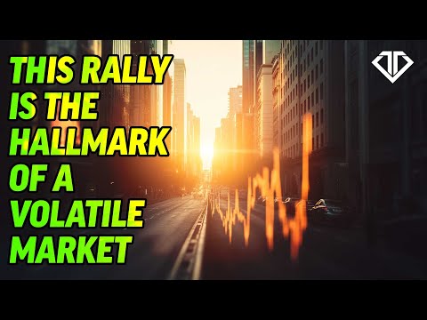 This Rally Is the Hallmark of a Volatile Market