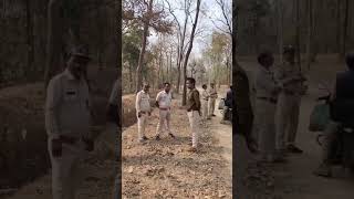 Mp Forest Department guard #forest #forestguard