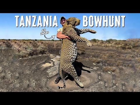 BOWHUNTING A MONSTER Leopard In Tanzania 2024