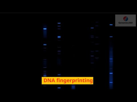 DNA fingerprinting