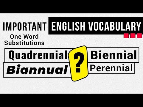 Important English Vocabulary | OWS