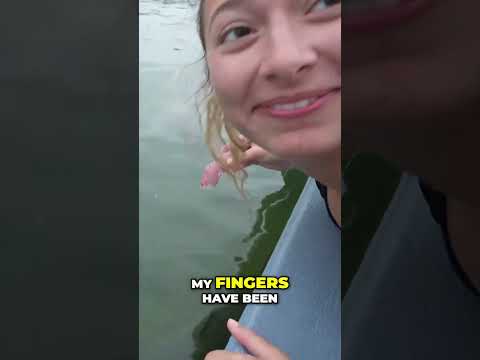 Feeding Tarpon: First Time Adventure on the Dock!