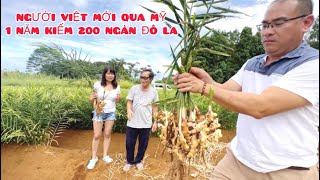 NGƯỜI VIỆT Ở MỸ/ANH CHỦ NGƯỜI VIỆT LÀM NÔNG CHIA SẺ CUỘC SỐNG KIẾM TIỀN QUÁ DỄ DÀNG Ở HAWAII MỸ