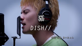 猫 - DISH// ｜ 歌詞あり