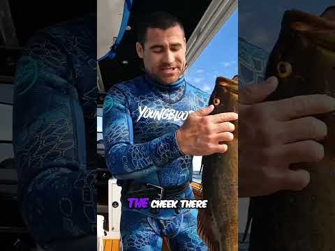 Epic Underwater Spearfishing: My Family Fishing Adventure!