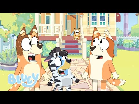 Lo mejor de Chilli y Bandit | Bluey Español Canal Oficial