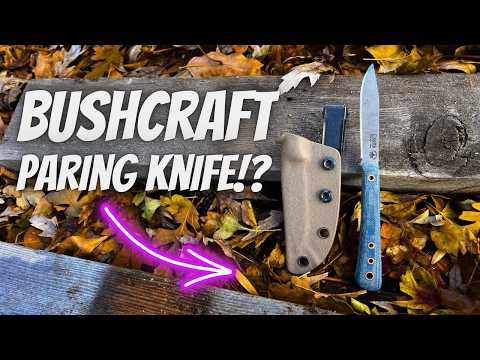 The Cicotte Bushcraft Paring Knife Has Massive Potential!