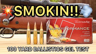 243 Winchester Hornady Superformance SST Ballistics Gel Ammo Test