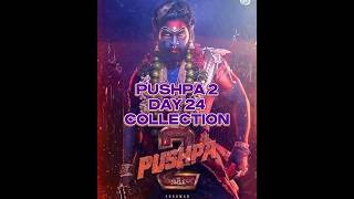 PUSHPA 2 DAY 24 COLLECTION #bgm #trendingshorts #pushpa2collection #viralshort #alluarjun #beatstar