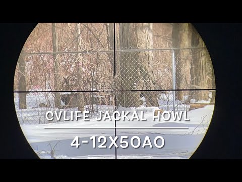 Table top review for the CVLife Jackalhowl 4-12-x50AO scope