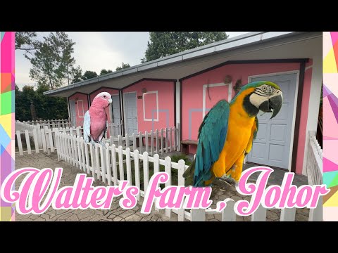 Vlog Walters Farm, Johor