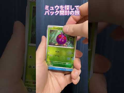 【ポケモンカード151】ミュウを探して #19