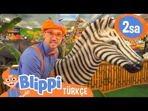 Blippi Orman Hayvanlarını Keşfediyor | Blippi Türkçe - Çocuklar için Eğitici Videolar