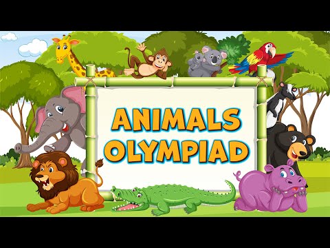 Animals I Wild I Domestic I  Pet Animals I Zoo I Meet the Animals I Animal Adventure Stories