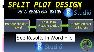 RStudio Split Plot analysis | Full detail analysis with interaction plots (agricolae package)