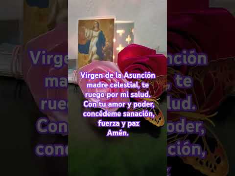 #virgen #asuncion #virgenmaría #devocióncatólica #santavirgen #oraciondeldia #fe #feenaccion #mexico