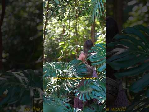 Finding a jungle of monstera and harvesting the most delicious fruit in the world 🌱