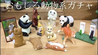 ガチャ、色々開封 ~おもしろ動物系~