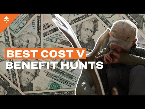 Hunting on a Budget? Here Are 2025’s Best Affordable Options! | Hunting Cost Vs. Benefit Analysis